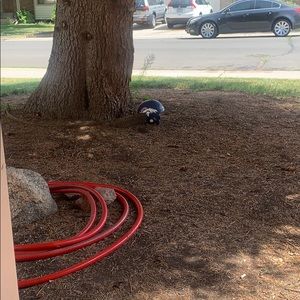 Meet your Posher, Christopher